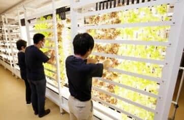 プレスリリースより