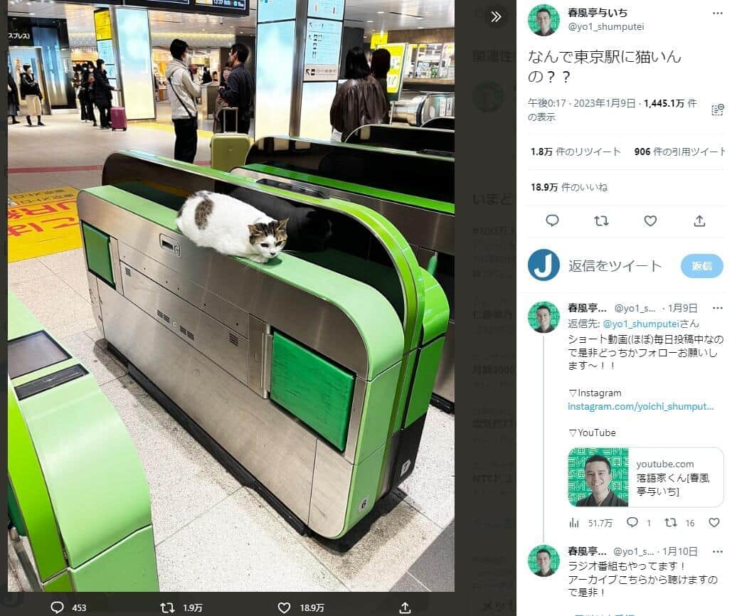 「なんで東京駅に猫いんの」改札写真に大反響も...　実はYouTuberの仕業？放置疑惑に批判の声