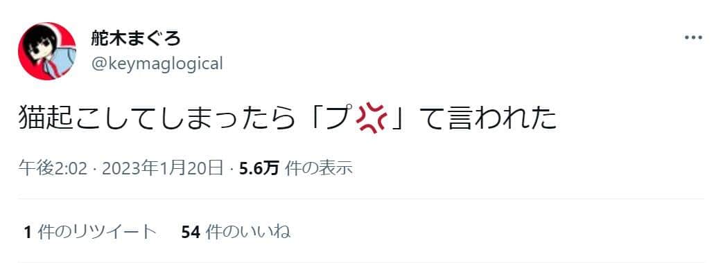 舵木まぐろさんのツイッター（@keymaglogical）より