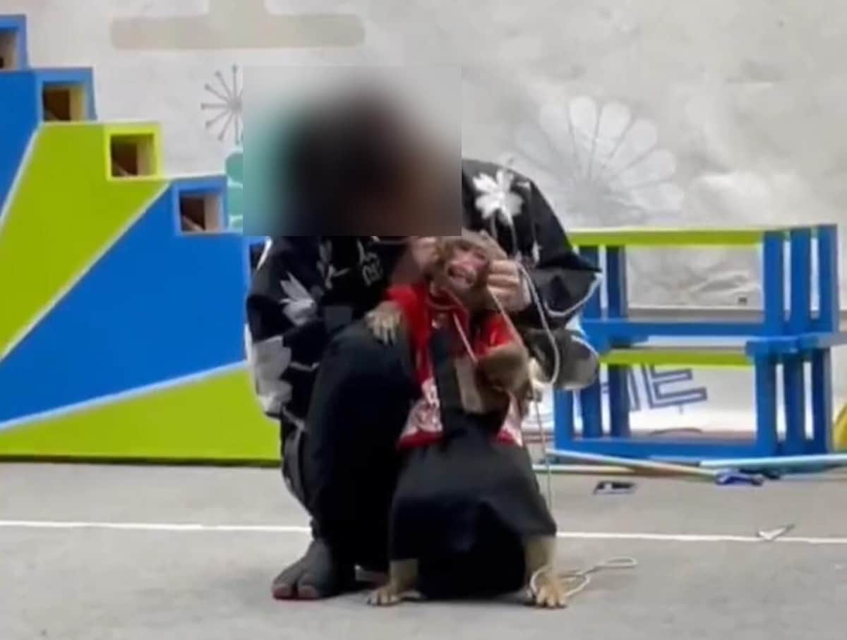 猿回し芸人がサル叩き、こめかみグリグリ...過激しつけが物議　日光さる軍団が謝罪「二度とあってはならない」