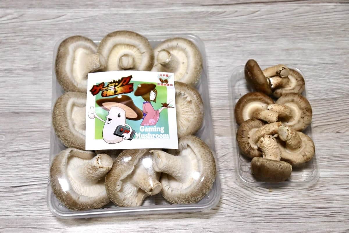 市販の椎茸（右）と比較すると大きめ