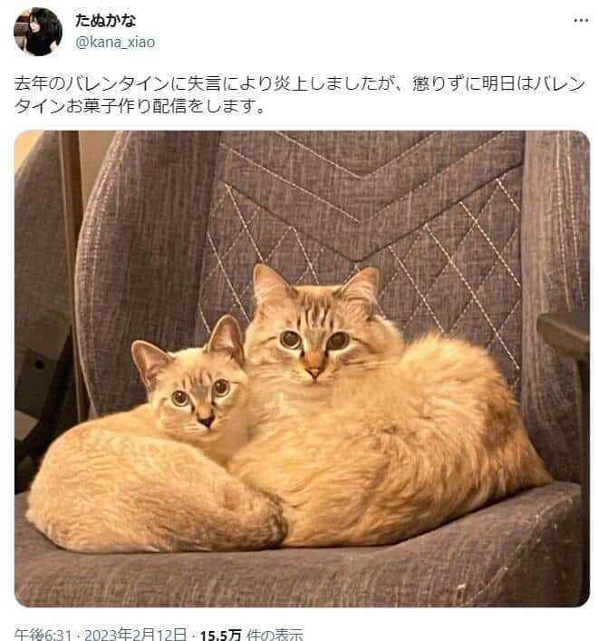 たぬかなさんのツイッター（@kana_xiao）より