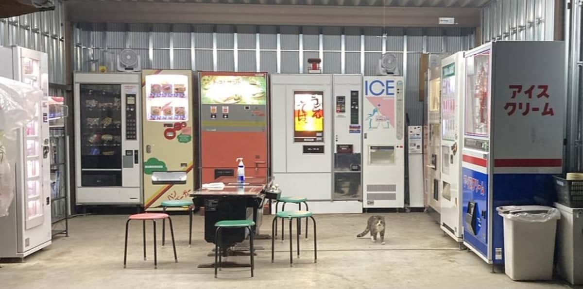 「とても悲しい」レトロ自販機コーナー破壊に店主嘆く...警察捜査　ライブ配信に犯人の姿「半数が自首」