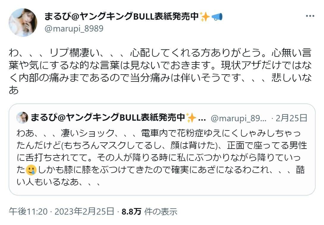 まるぴさんのツイッター（@marupi_8989）より