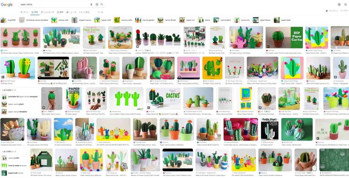 paper cactusの検索結果
