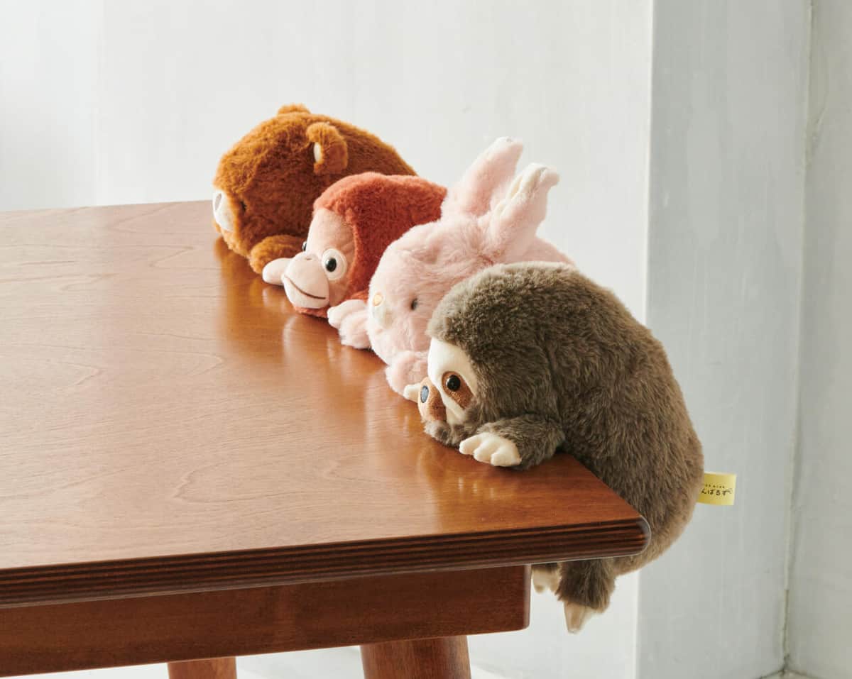 クマ、オランウータン、ウサギ、ナマケモノの４種