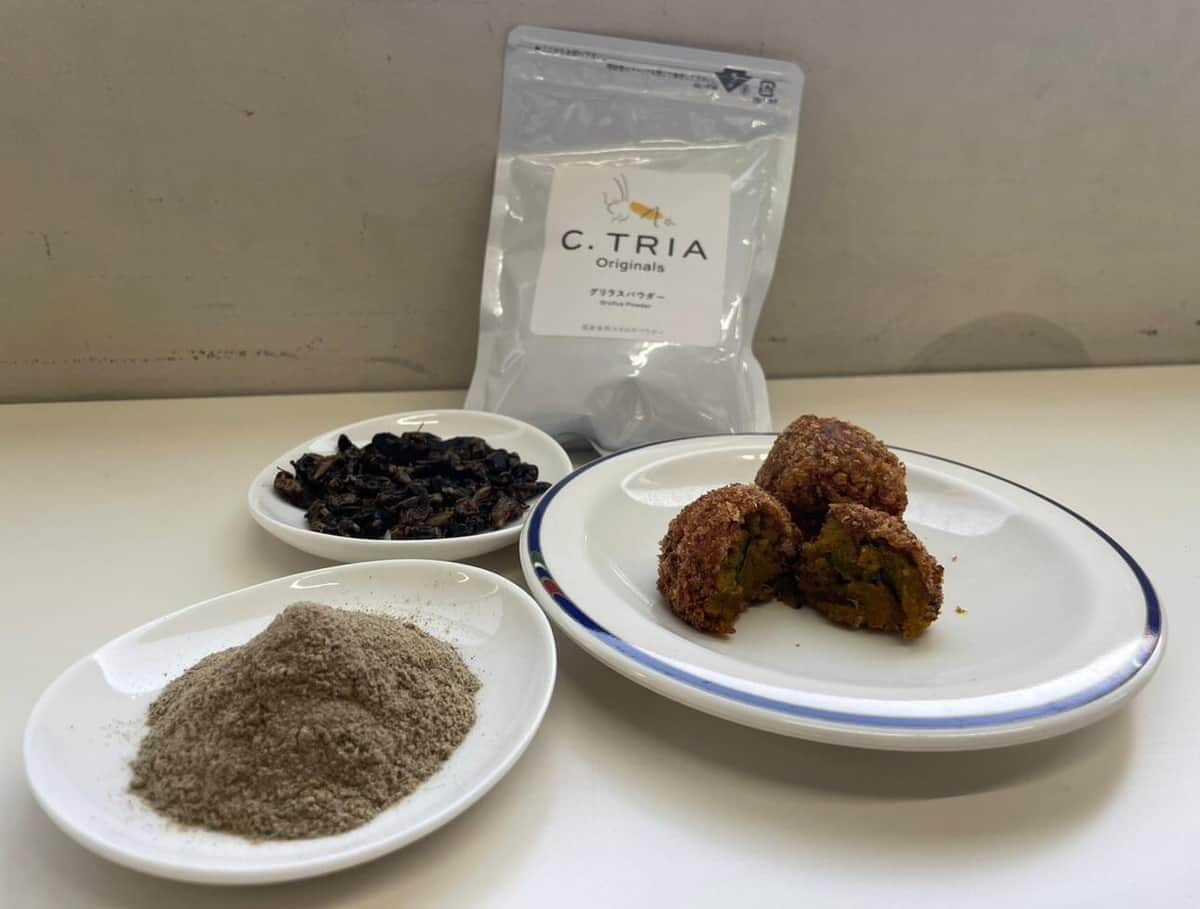 コオロギ粉末を使って「かぼちゃコロッケ」を給食に（昆虫食ベンチャー・グリラスのプレスリリースから）