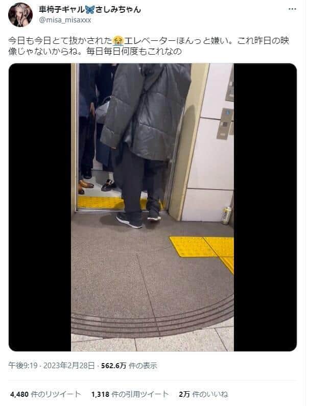 さしみちゃんが公開した動画（本人ツイッターより）