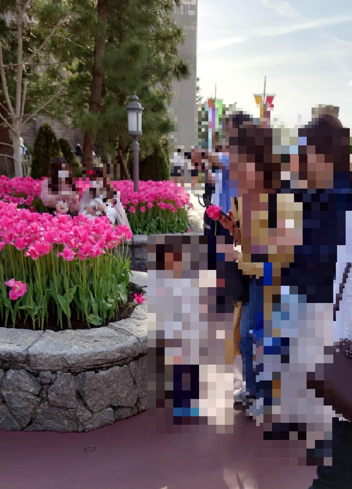 ちぎったチューリップで撮影を楽しむ女性（目撃者提供）