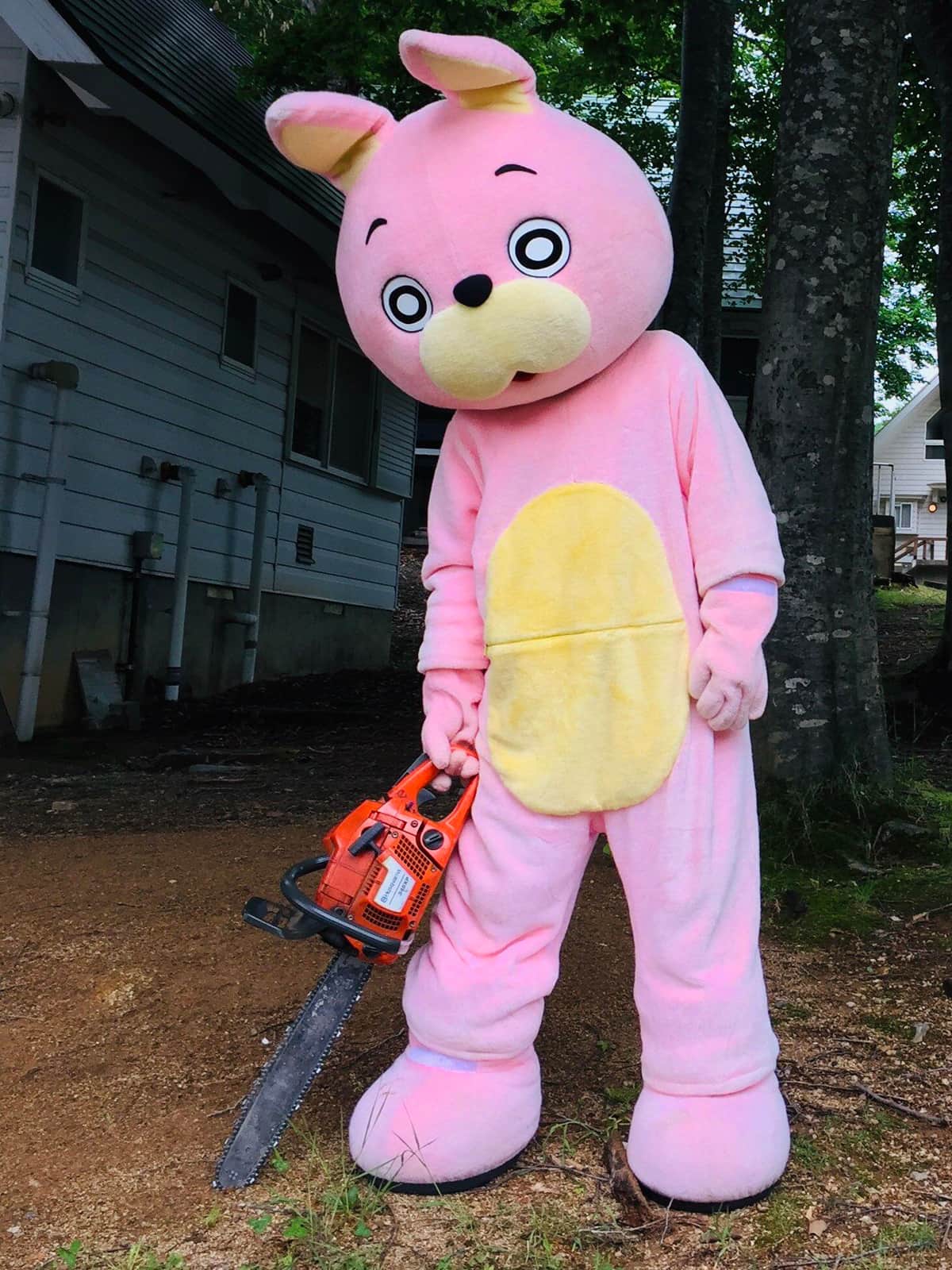 山形県朝日町の非公式PRキャラクター桃色ウサヒ