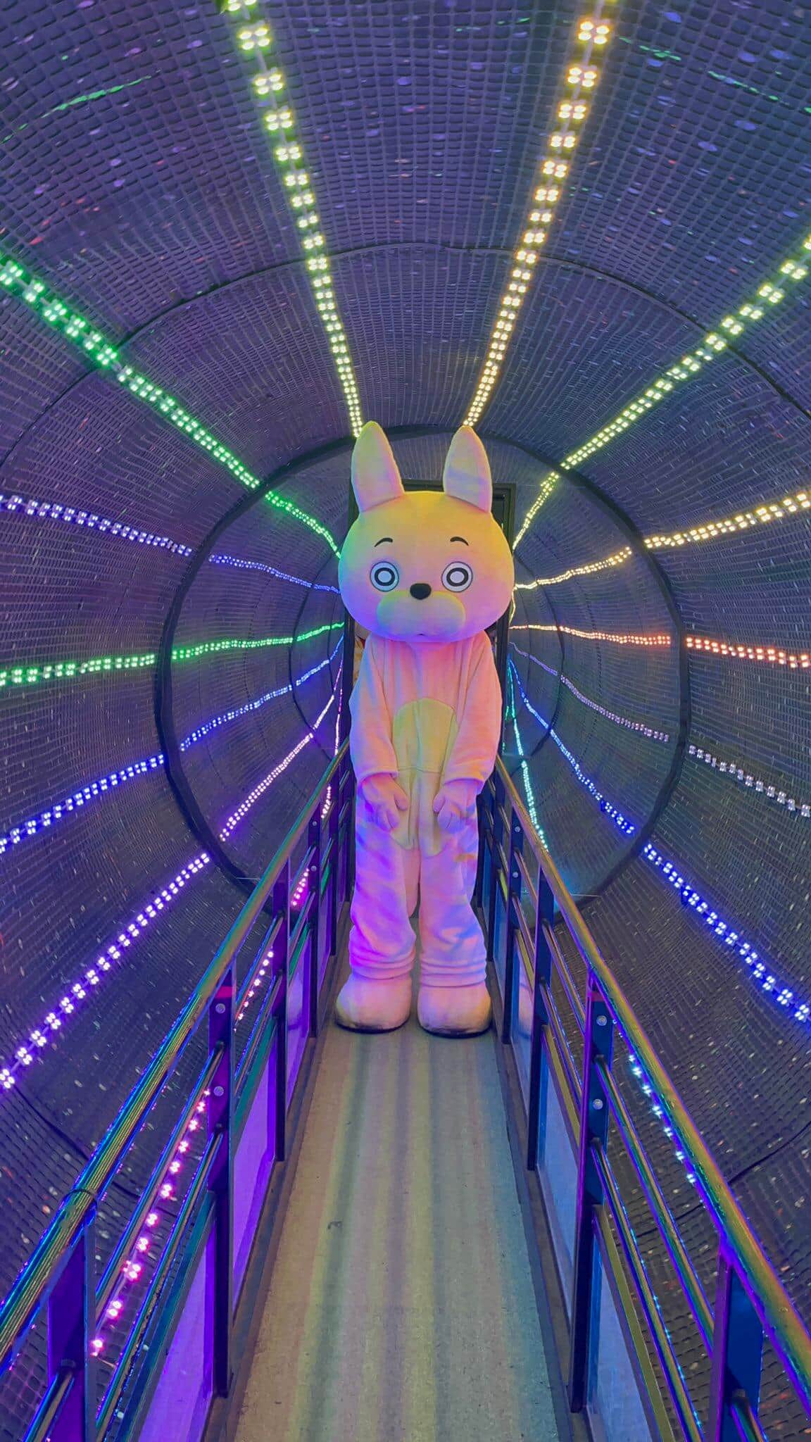 リナワールドを楽しむ桃色ウサヒ