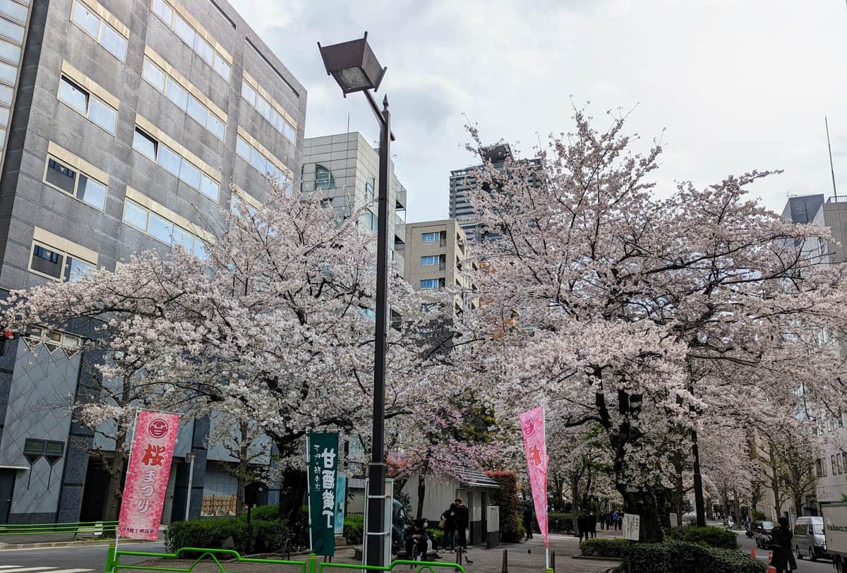 花見の名所で1週間前から「場所取り」...大手企業に批判　広報が事実認め謝罪「配慮に欠けた」