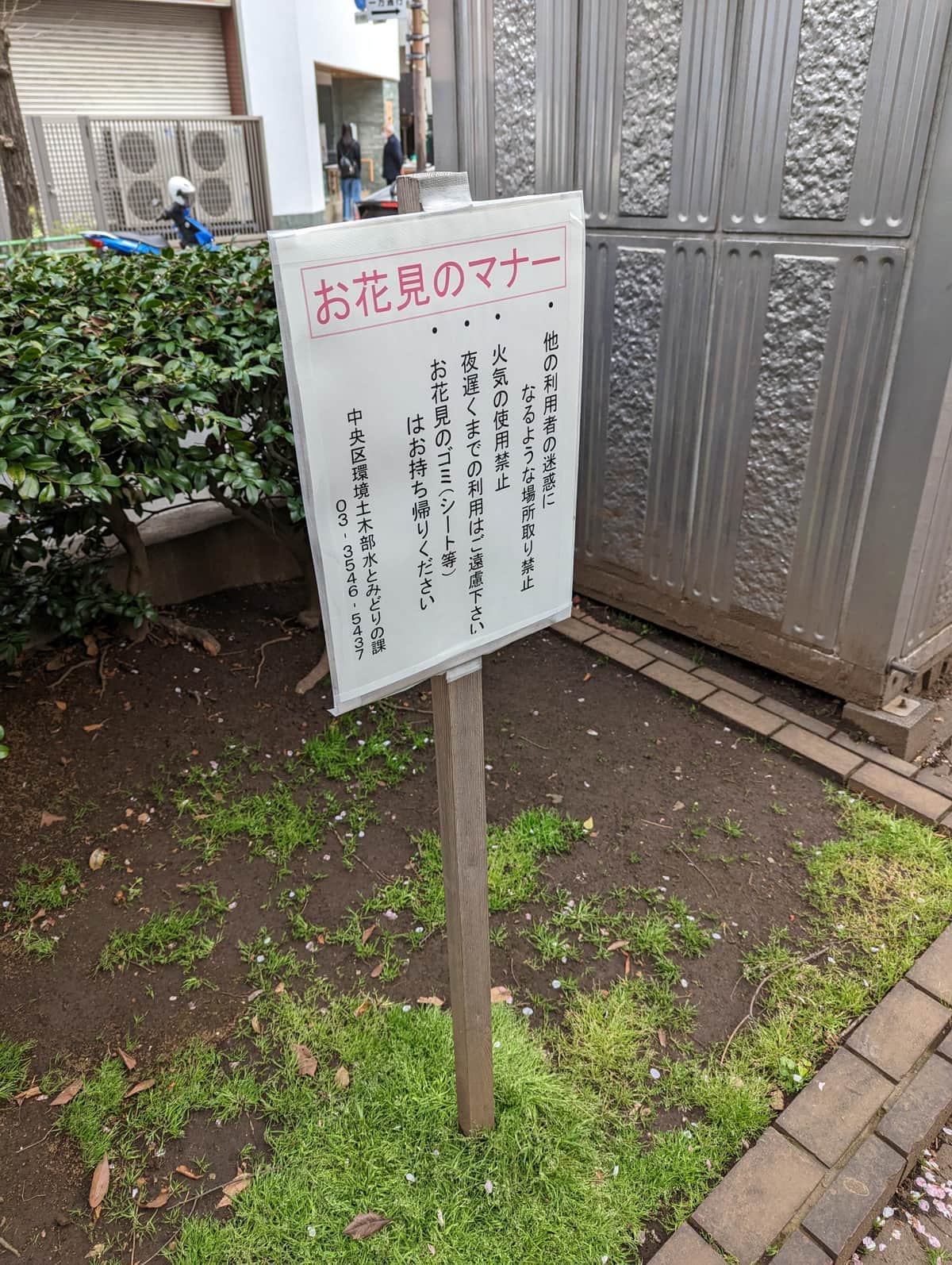 浜町緑道（2023年3月27日撮影）