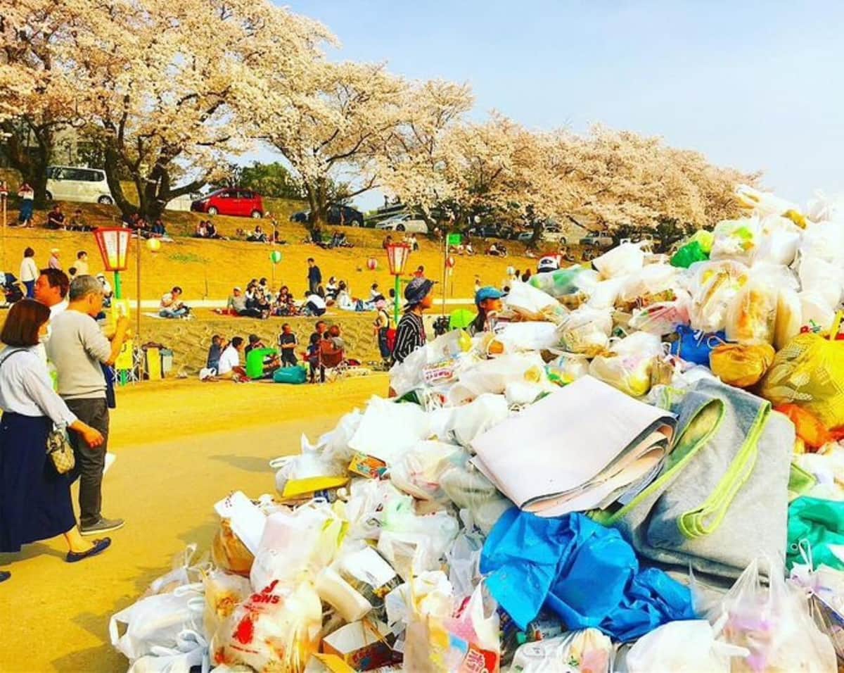 ゴミ置き場が設置された2018年の様子（写真は、実録スピチューブ提供）