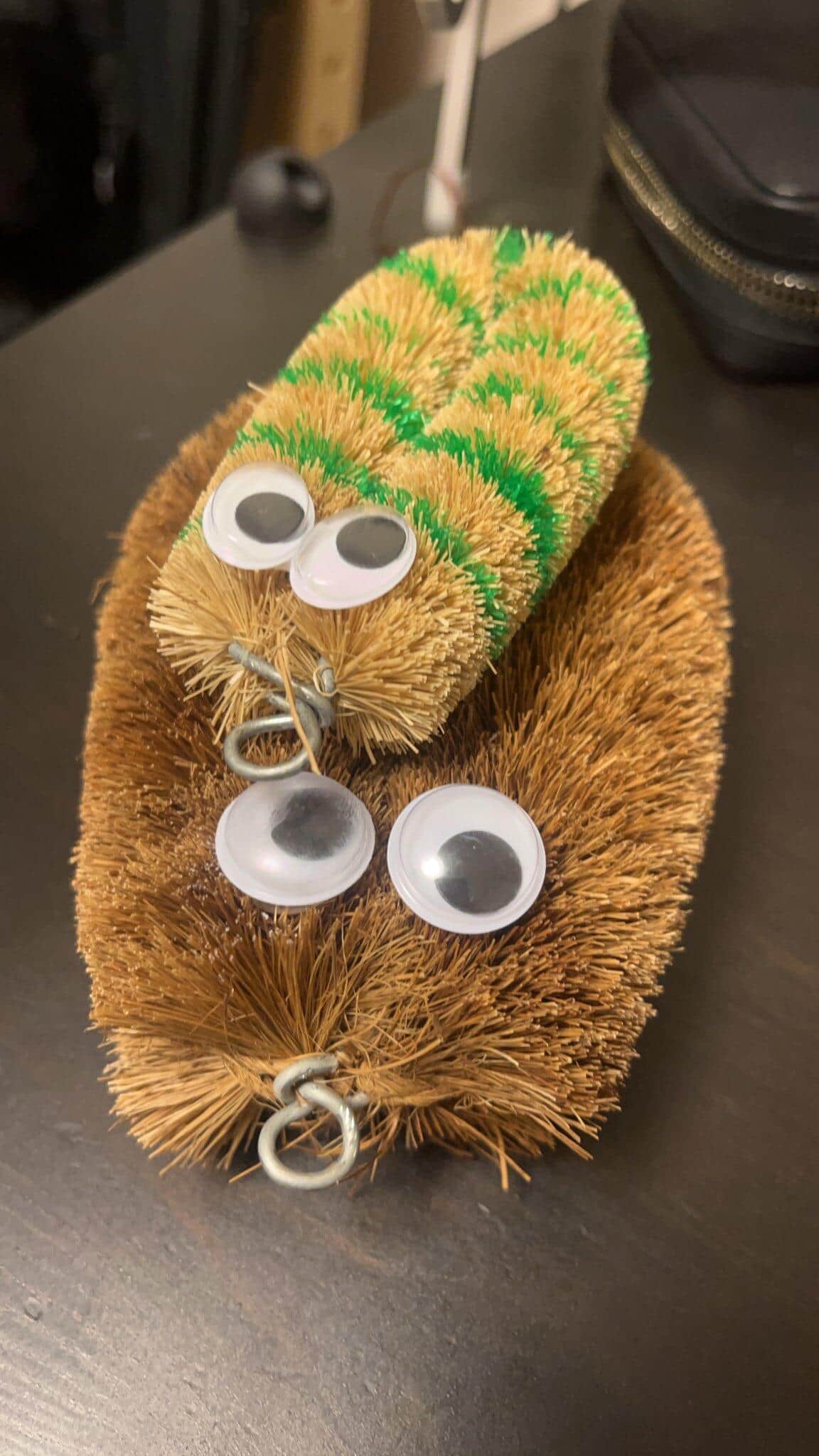 「不覚にも癒されてしまった」　SNS驚きの「たわし散歩サークル」って一体何？当事者が語る活動の魅力