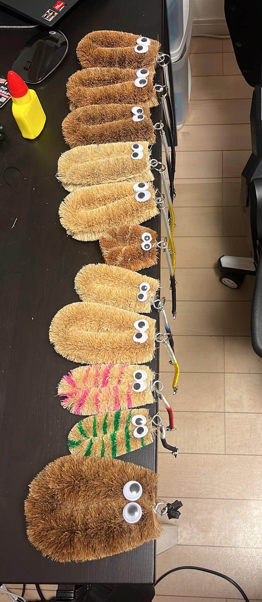 写真提供：法政大学たわし散歩サークル小金井支部（＠wtws_koganei）