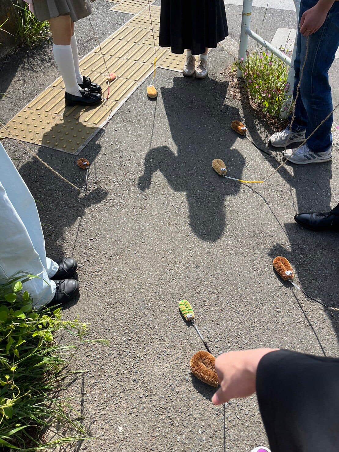 写真提供：法政大学たわし散歩サークル小金井支部（＠wtws_koganei）