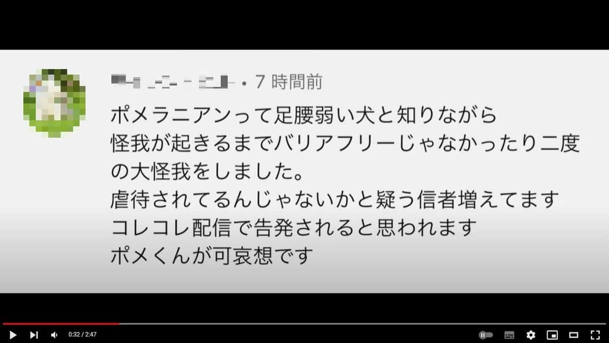 YouTubeチャンネル「ポメラニアンのポメくん」の動画より（編集部で一部加工）
