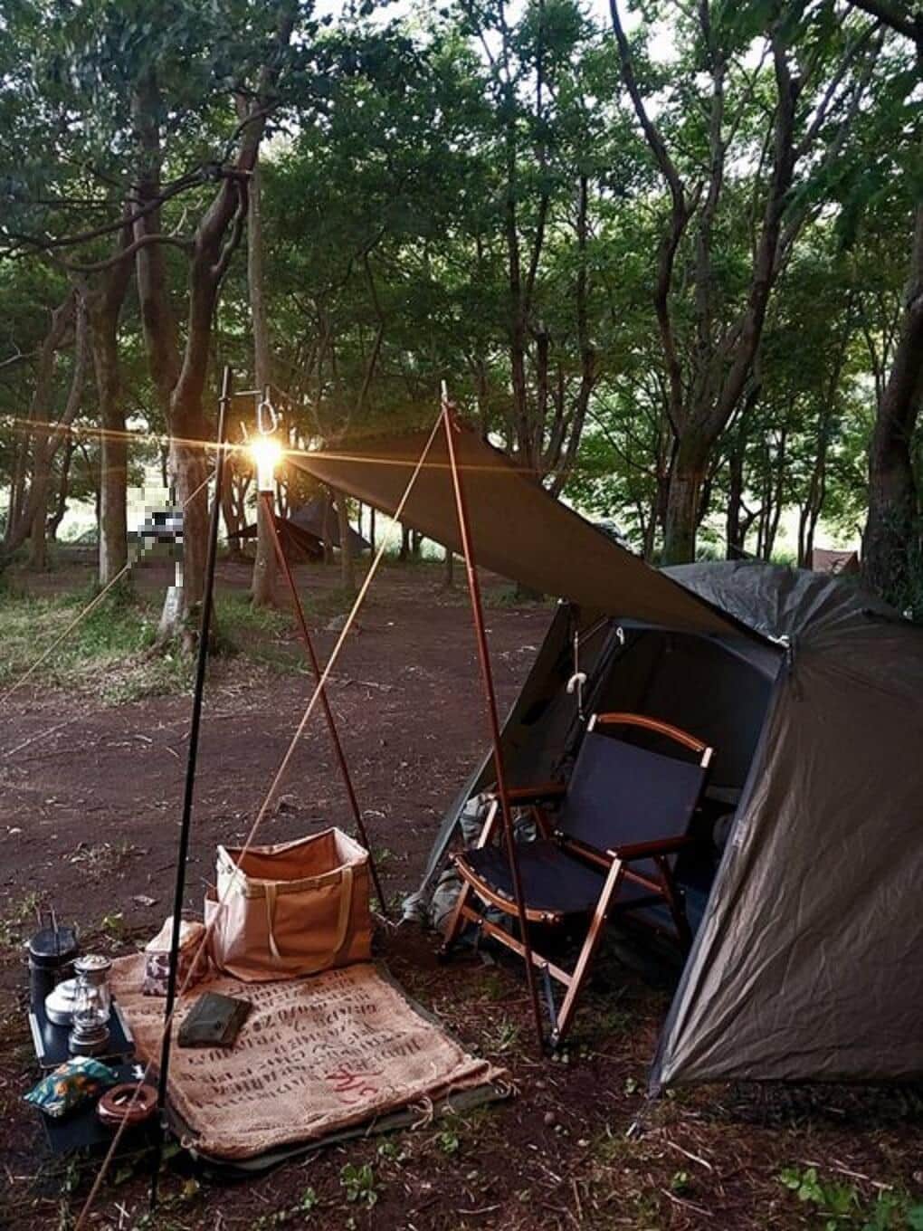 ソロキャンプを始めたが…（写真は、女性ソロキャンパー提供）