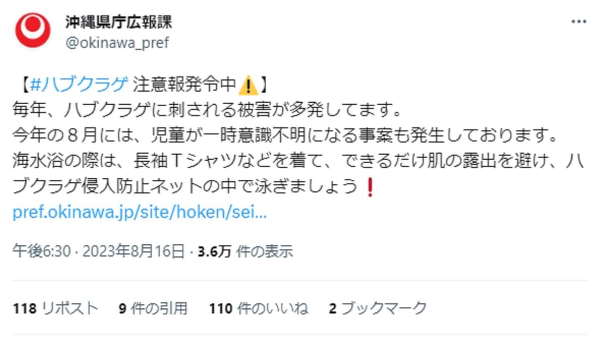 ビーチで女児遊泳→「猛毒ハブクラゲ」に刺され救急搬送　侵入防止ネット内で起きた異常事態、管理者の見解は