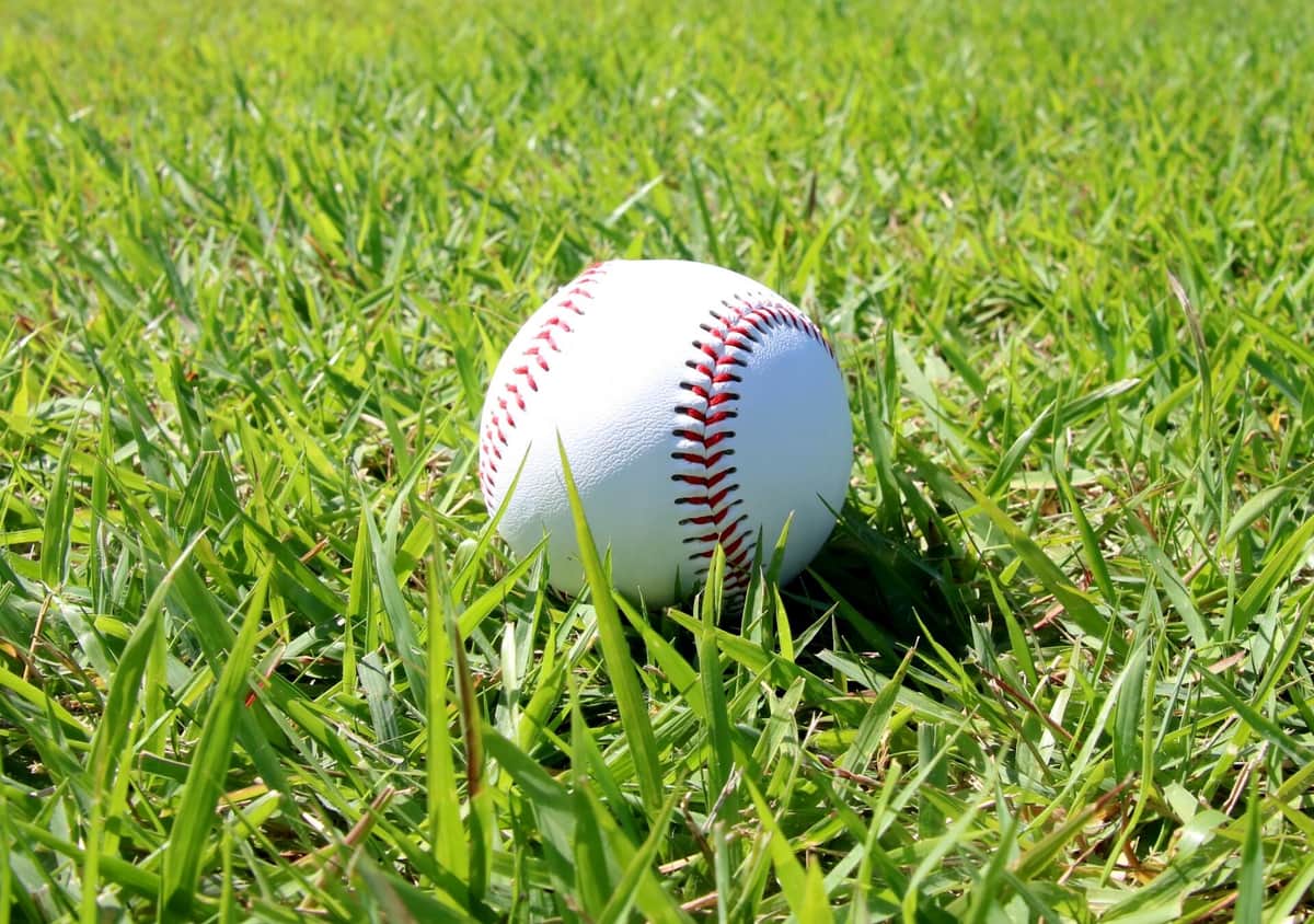 広陵・真鍋がまさかのドラフト指名漏れ　スポーツ紙記者「結果的には裏目に出てしまった」