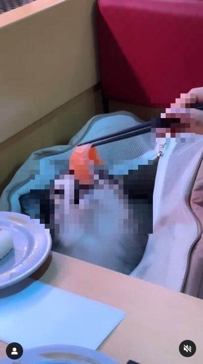 ネタを食べる犬（投稿された動画から）