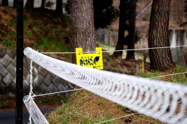 「クマ被害」北海道では農産物で2.6億円　列車と衝突事故も増え「経済損失」深刻に