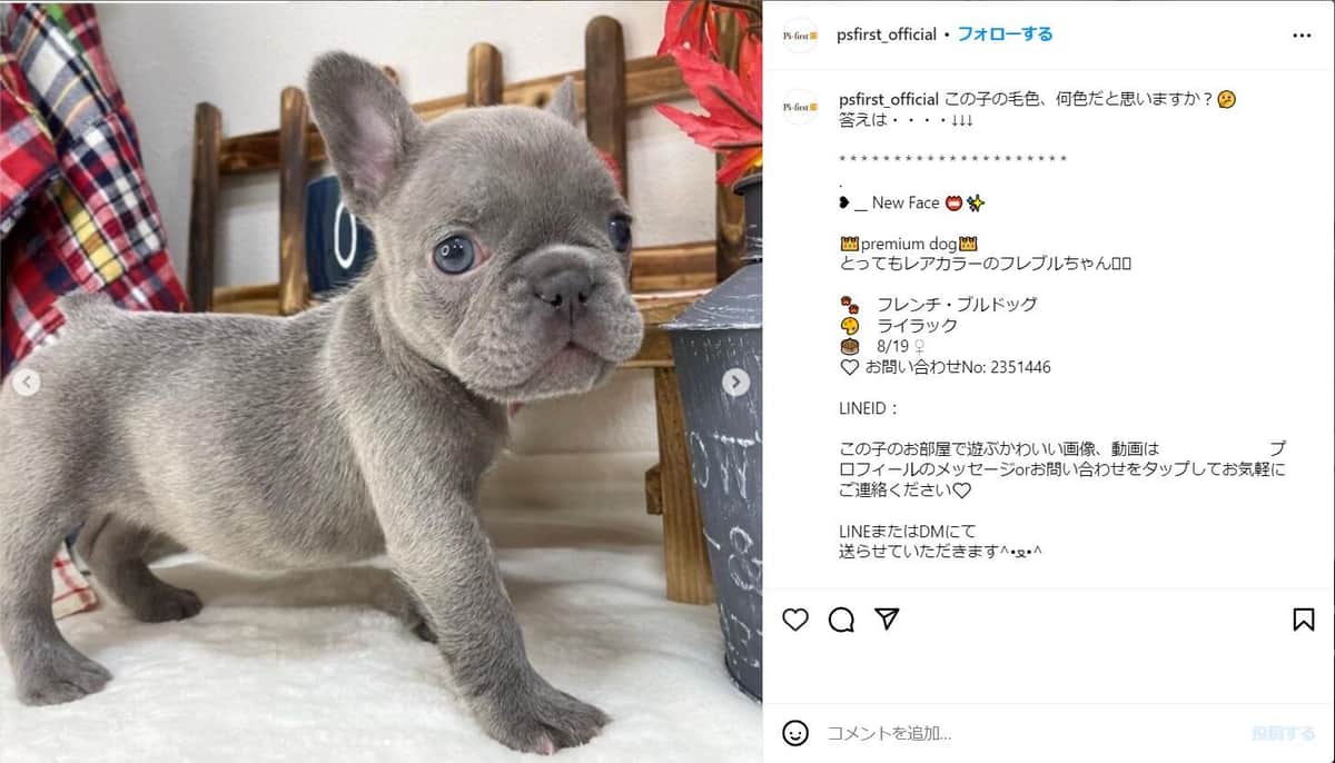 ペッツファースト公式インスタグラム（psfirst_official）より