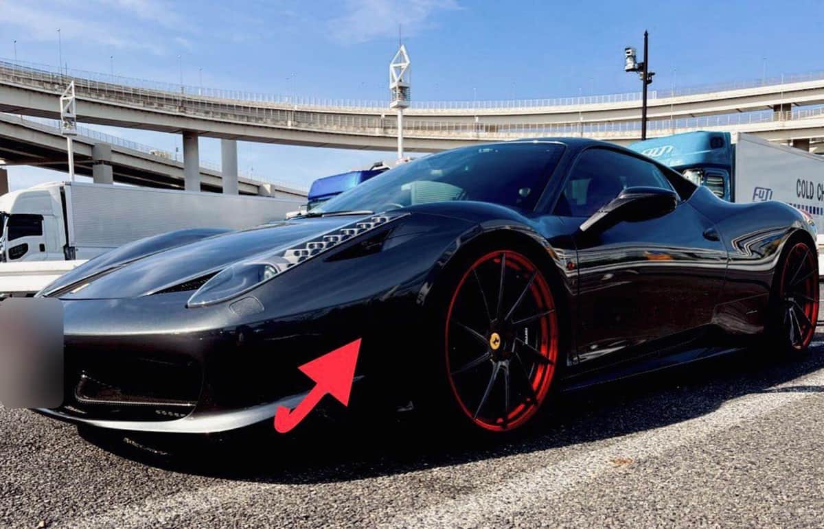 写真提供：Xユーザー・トモロウ（＠Tomorou9170）さん