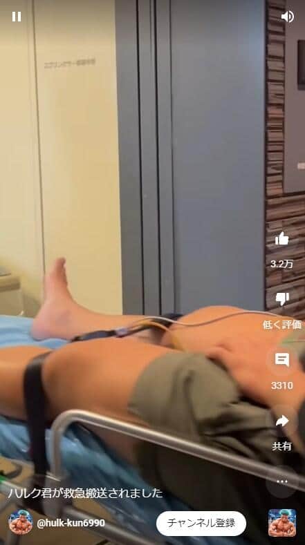 ハルクくんのYouTubeチャンネル動画より