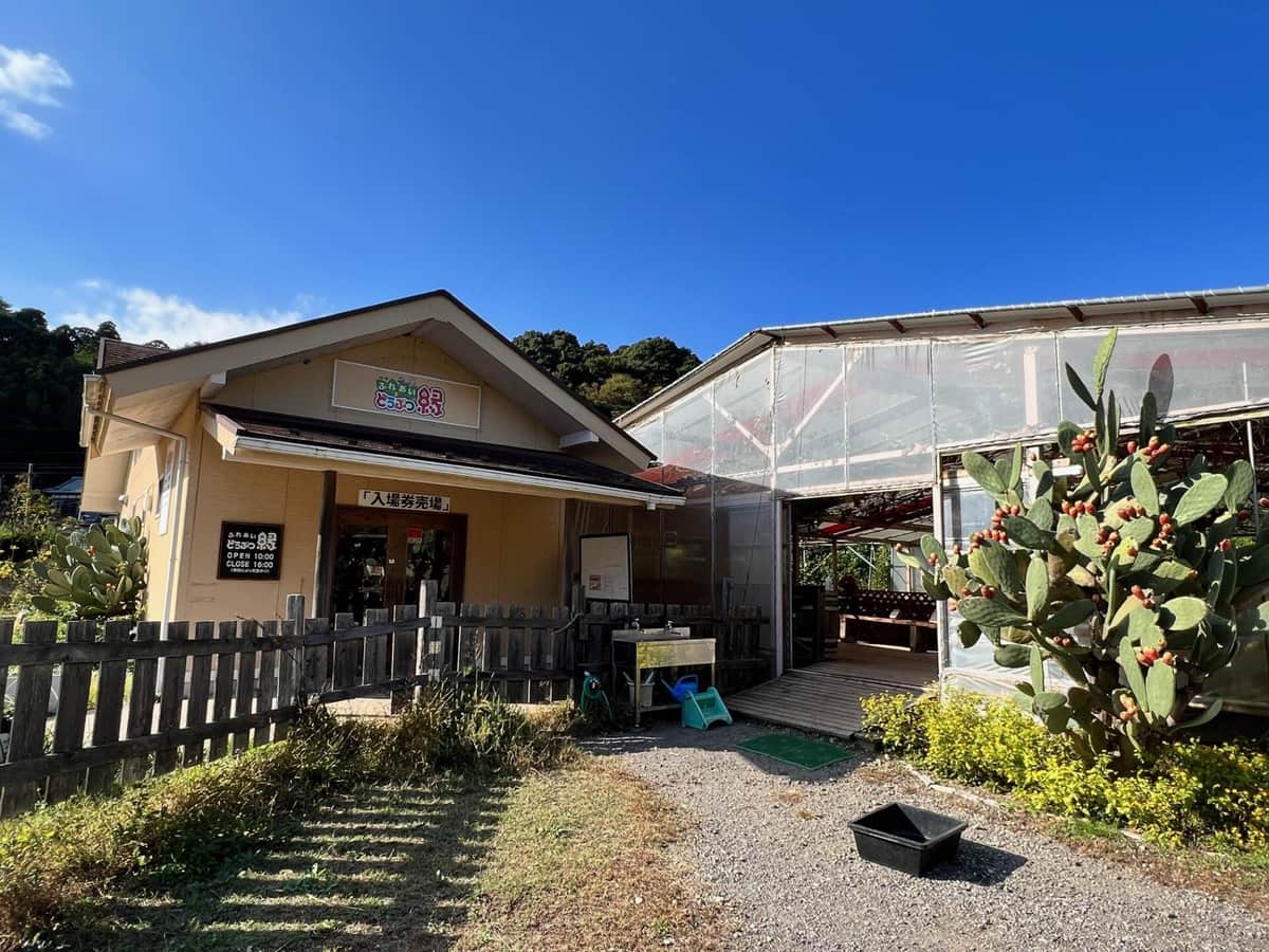 「ふだん絶対に与えない」食べ物が...客の悪質エサやりに動物園困惑　命の危険も