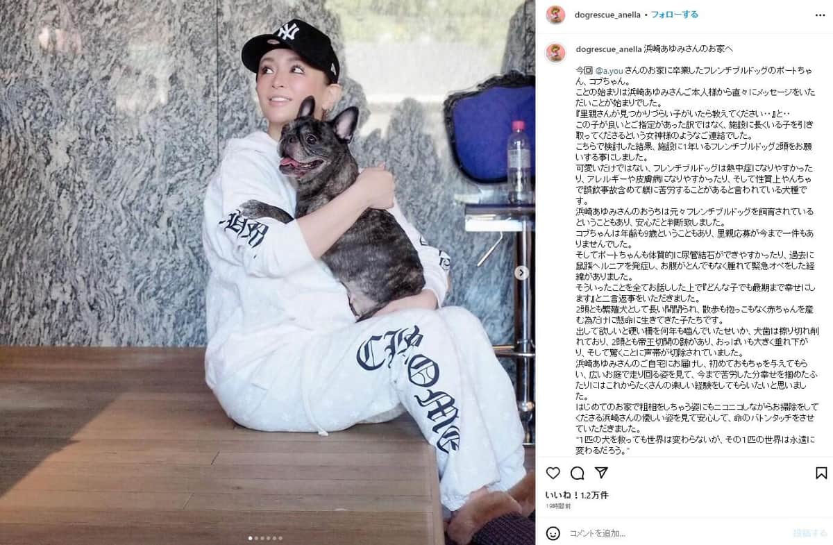 浜崎あゆみに「イメージ変わった」「優しい方なんですね」　保護犬引き取りに称賛、団体側「女神様のようなご連絡でした」