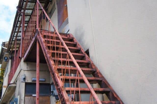 「廃墟ホテル」にサル、空き家にハクビシンやアライグマ　野生動物が住み着き感染症が怖い