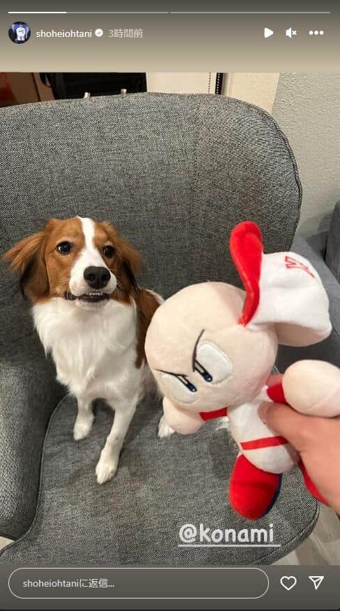 大谷翔平選手のインスタグラム（shoheiohtani）より