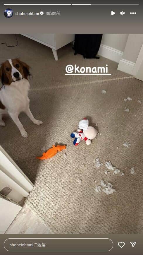 大谷翔平選手のインスタグラム（shoheiohtani）より