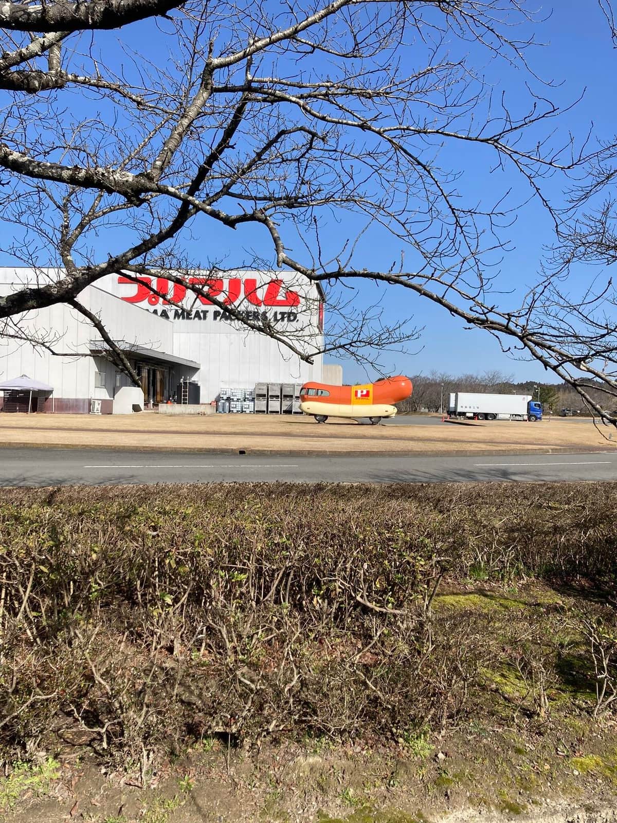 プリマウインナー号（「さゆりんＸ」さんのX（@taihaibispcl）より）