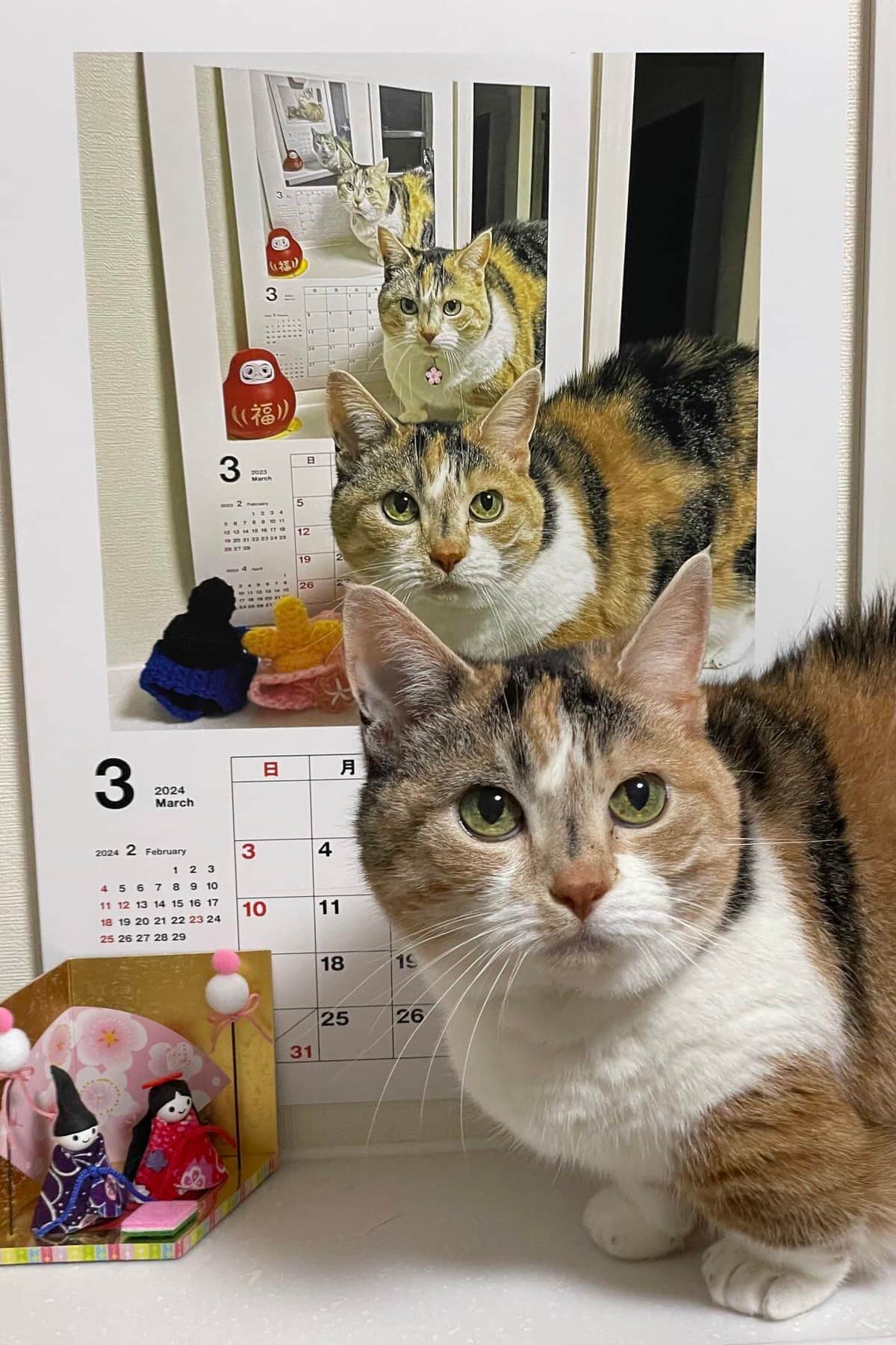 チューと言えばニャー(＠AminoCyu)さんのXより