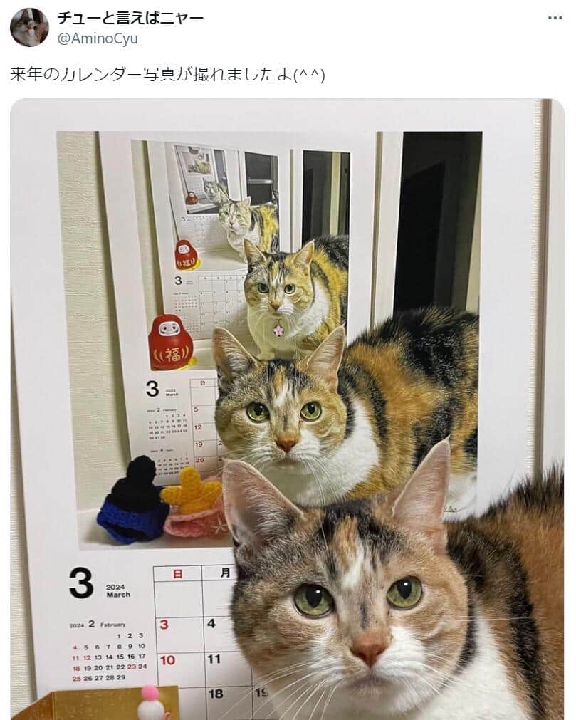 チューと言えばニャー(＠AminoCyu)さんのXより