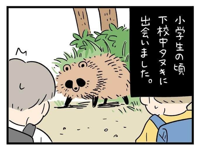 タヌキが二本足で飛び蹴り！　「化けて出た？」下校中のエピソード怖すぎる