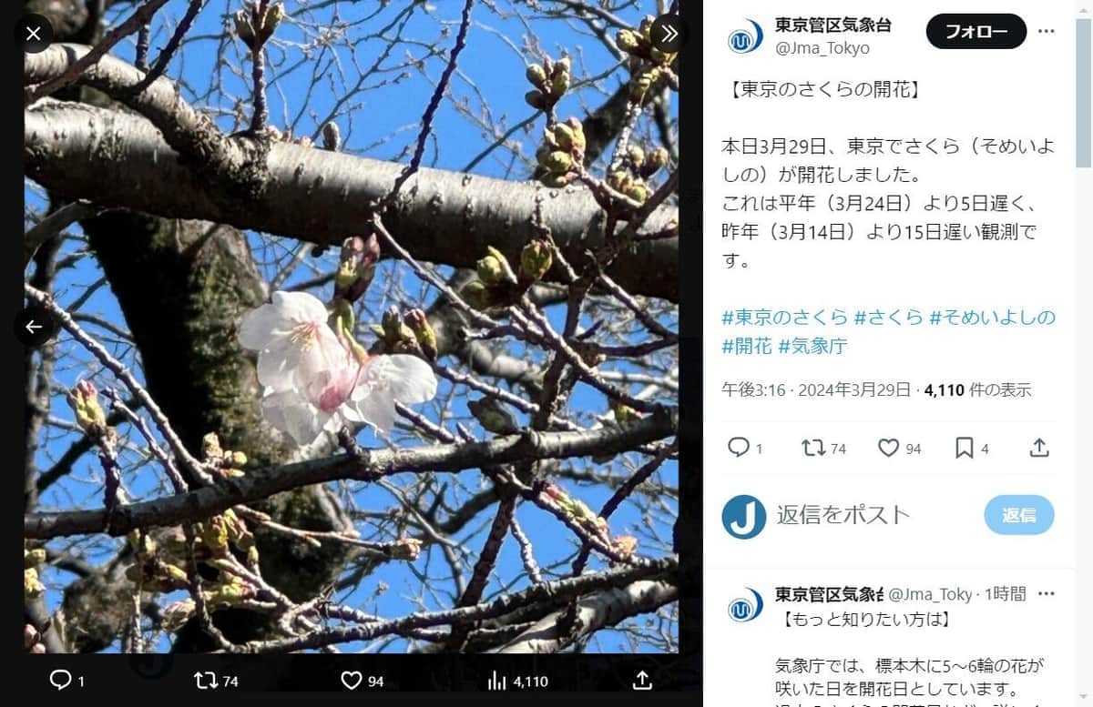 東京都心で桜開花、2023年より半月、平年より5日遅い観測　SNS歓喜「ようやく春」「これくらいでいい」