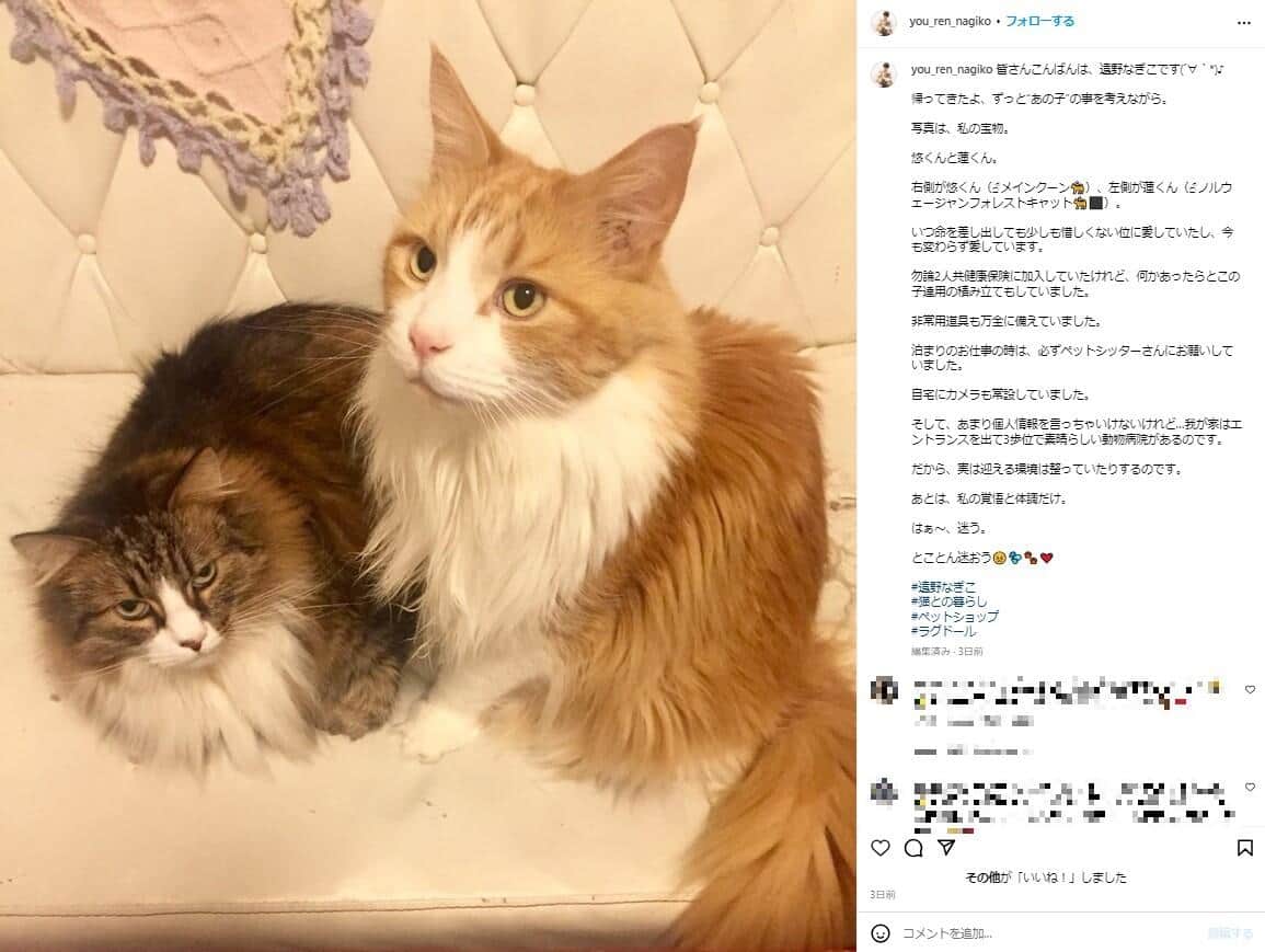 遠野なぎこさんのインスタグラム（＠you_ren_nagiko）より