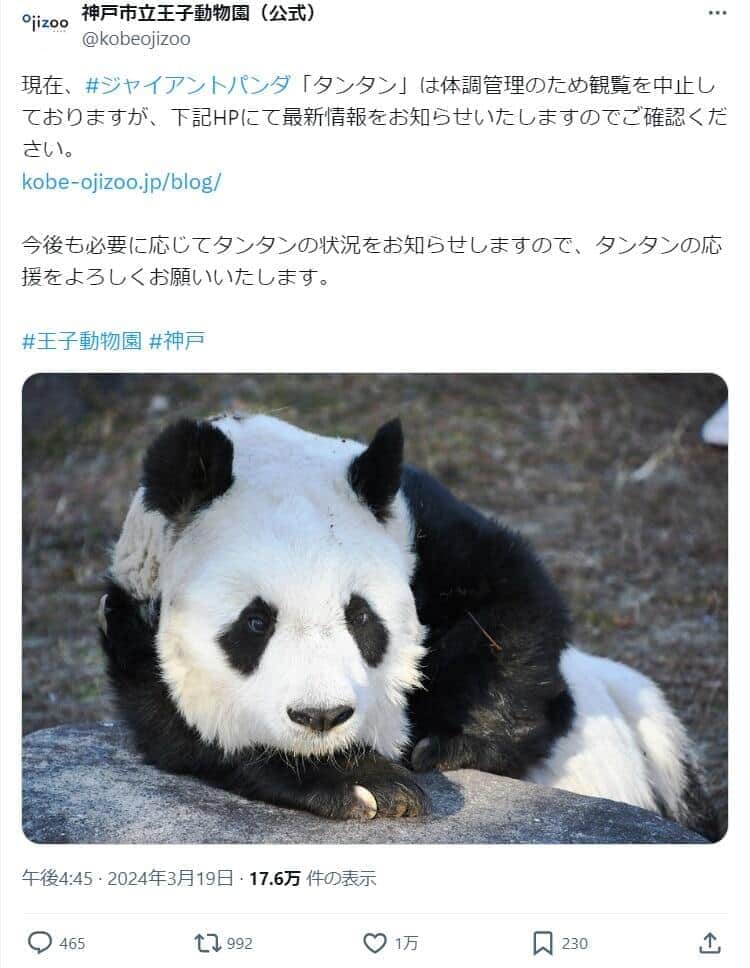 タンタン（神戸市立王子動物園のX（@kobeojizoo）より）