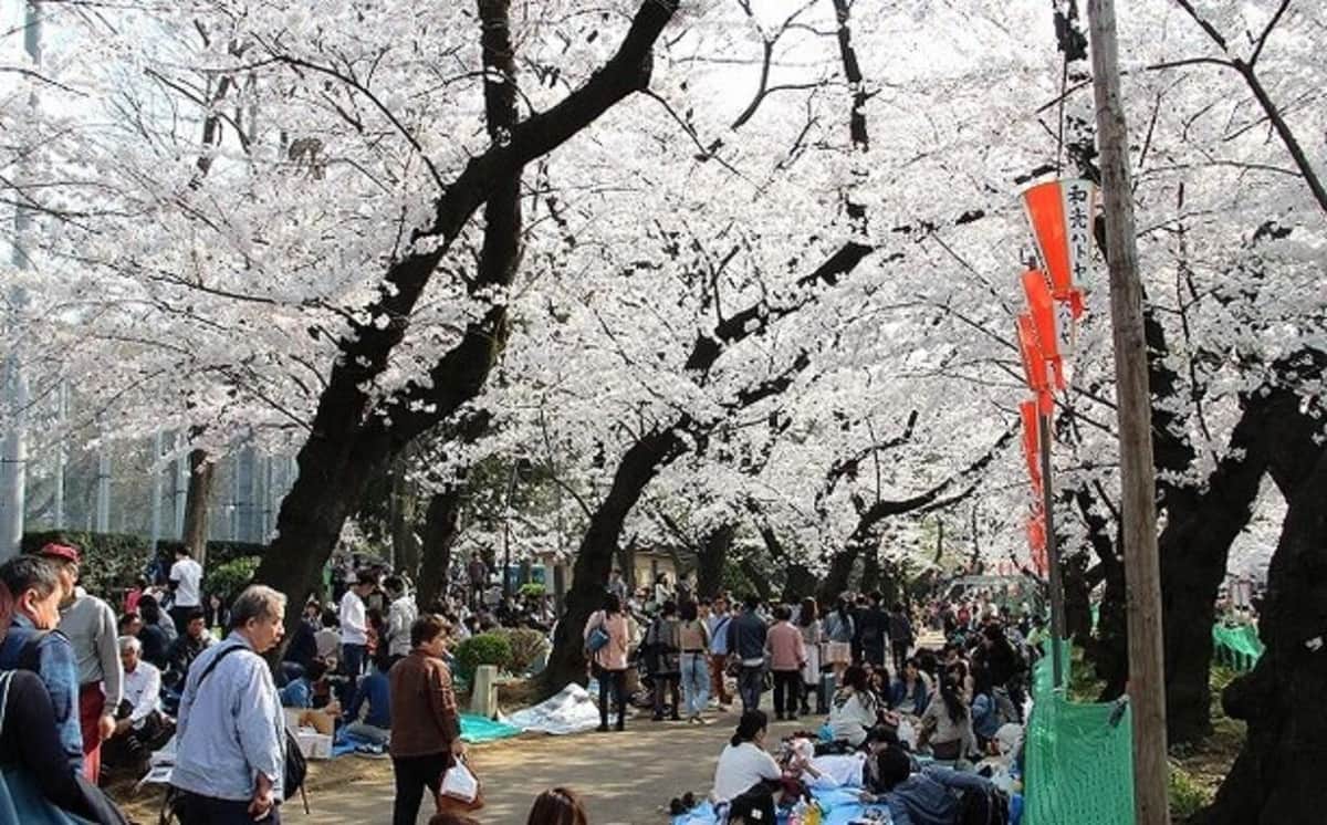 上野公園は花見客が殺到（写真は2015年撮影）