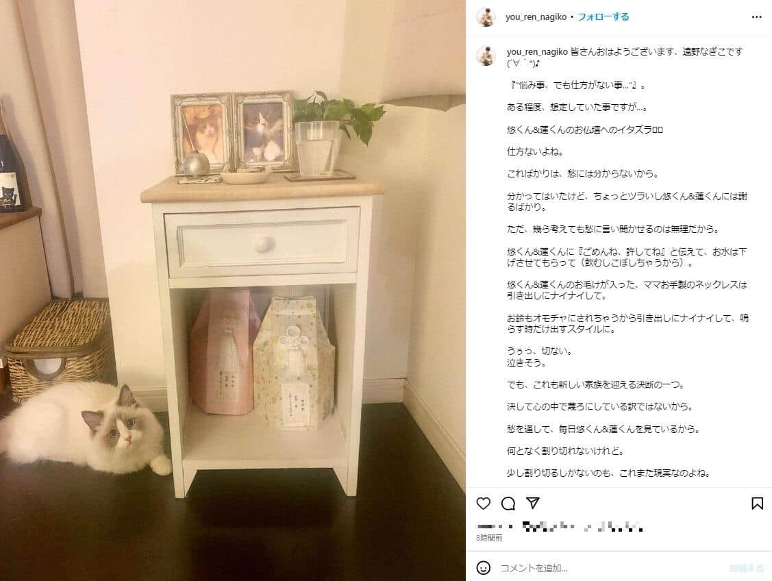 遠野なぎこさんのインスタグラム（＠you_ren_nagiko）より