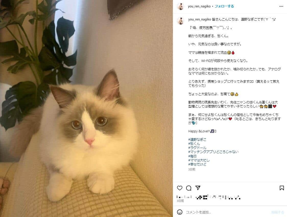 遠野なぎこさんのインスタグラム（＠you_ren_nagiko）より