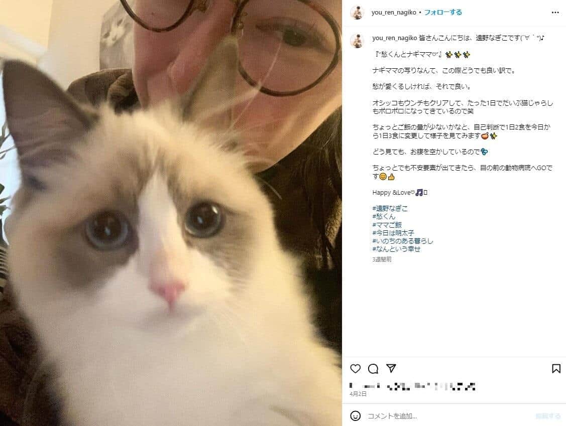 遠野なぎこさんのインスタグラム（＠you_ren_nagiko）より