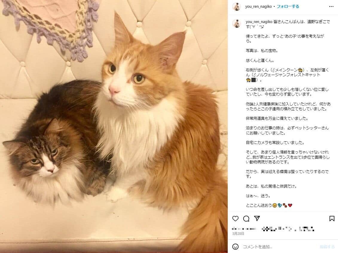 遠野なぎこさんのインスタグラム（＠you_ren_nagiko）より