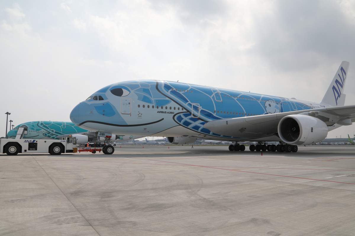 ANAのA380型機（フライングホヌ）