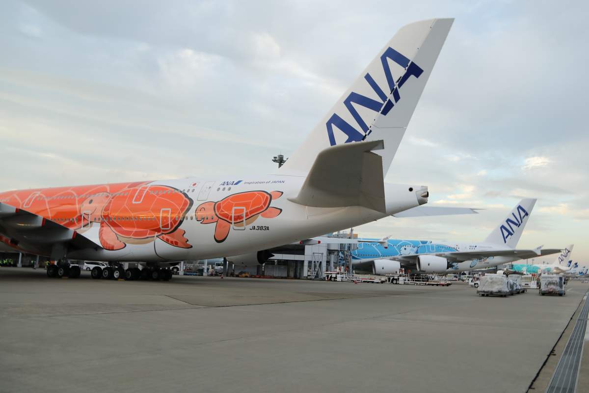 3機並んだフライングホヌ