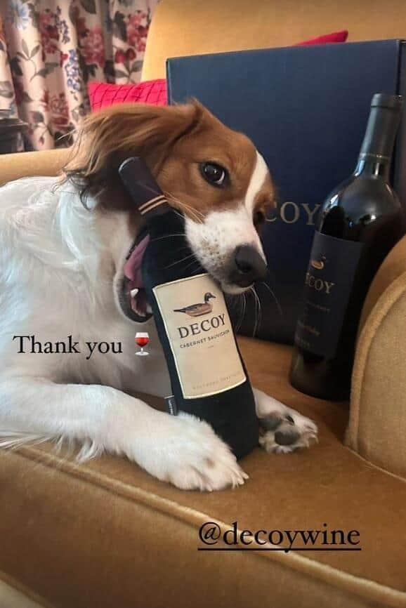 デコピン（大谷選手のインスタグラムより）